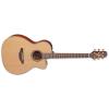 Takamine P3MC Guitars