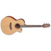 Takamine P3NC Guitars