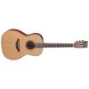Takamine P3NY Guitars