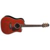 Takamine P5DC-WB Guitars