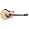 Takamine P5NC Guitars
