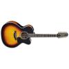 Takamine P6JC-12 Guitars