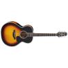 Takamine P6N Guitars
