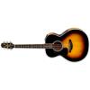 Takamine P6N-LH Guitars