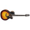 Takamine P6NC Guitars