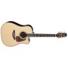 Takamine P7DC Guitars