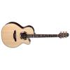 Takamine TSF48C Guitars
