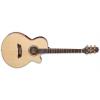 Takamine TSP138C-N Guitars
