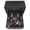 Bright Light Auto H4-6000K HID Headlights