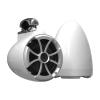 Wet Sounds ICON 8-W FC V2 MINI Marine Speakers