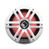 Rockford Fosgate M2D2-10I Marine Subwoofers