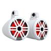 Rockford Fosgate M2WL-10H  Wakeboard Towers Speakers