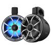 Wet Sounds RECON 6 POD-BG Marine Speakers