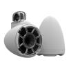 Wet Sounds REV 10 SE W-FC SS V2 Marine Speakers