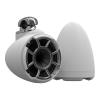 Wet Sounds REV 10 SE W-FC V2 MINI Marine Speakers