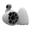 Wet Sounds REV 10 SE W-SC V2 Marine Speakers