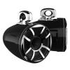 Wet Sounds REV 12 HD-B XS-TC3-S Marine Speakers