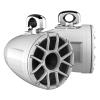 Wet Sounds REV 12 HD-W XZ-TC3-S Marine Speakers