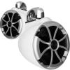 Wet Sounds ICON 8-W FC SS V2 Marine Speakers