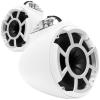 Wet Sounds REV 10 W-SXM V2 Marine Speakers