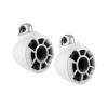 Wet Sounds REV 8 W-FC V2 MINI Marine Speakers