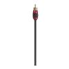 Stinger XI2420 RCAs & Interconnects