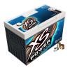 XS Power D14-31 Car Batteries
