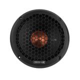 Pro Audio Speakers & Subwoofers