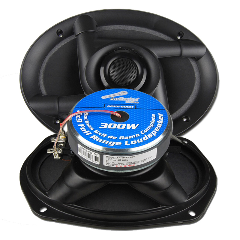 Audiopipe APMB-6910T