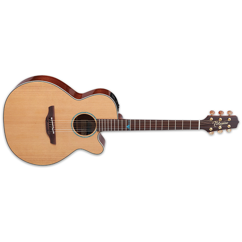 Takamine TSF40C