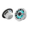 JL Audio&nbsp;M6-650X-S-GwGw-i