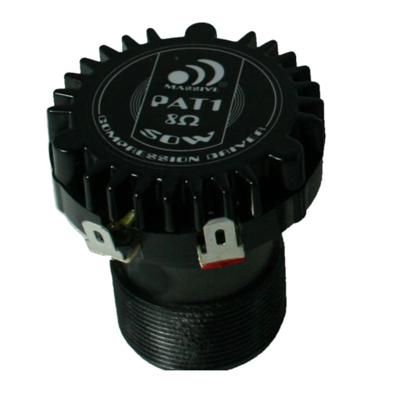 Massive Audio PAT 1
